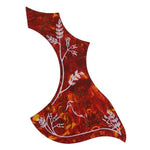 Acoustic Guitar Accessories