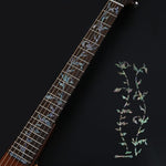 Guitar Accessories