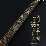 Guitar Accessories