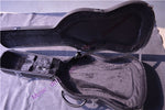 Electric Guitar